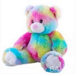 Record Your Own Plush 16 inch Rainbow Bear - Ready 2 Love in a Few Easy Steps