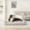 Kirkland Signature Duke Rectangular Bolster 46x36 Pet Bed