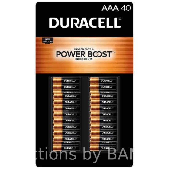 Duracell Coppertop Alkaline AAA Batteries 40-count