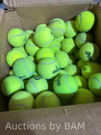 100 Bulk Tennis Balls for Dogs Toys