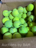 100 Bulk Tennis Balls for Dogs Toys