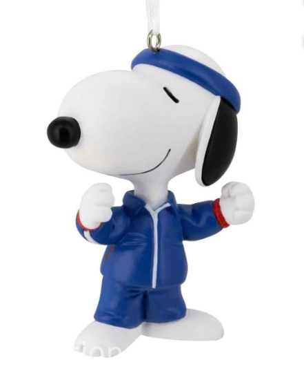 Hallmark Peanuts Snoopy Team USA Christmas Ornament