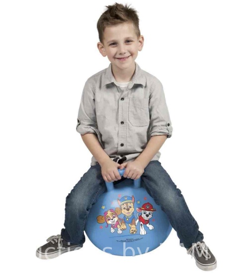 Hedstrom 15 inch Hopper, Paw Patrol, Blue