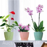 3 Plant Pots, 6 inch Plastic Planters with Saucers Modern Decorative Gardening Containers