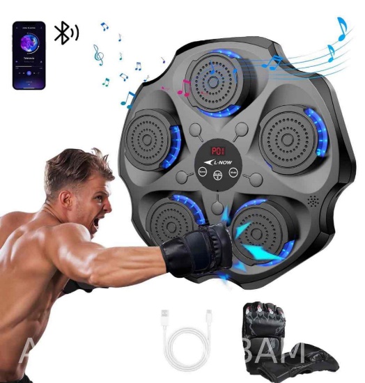 pooboo Music Boxing Machine with Boxing Gloves, Wall Mounted Smart Bluetooth Music Boxing Trainer