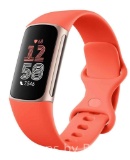 Fitbit Charge 6 Fitness Tracker Gold Case with Coral Band
