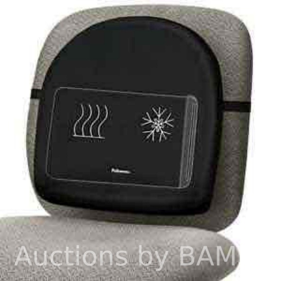 Fellowes Heat and Soothe Back Support