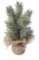 Northlight Frosted Mini Pine Tree Christmas Decoration with Burlap Base