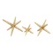 (8) Star Jacks Decorative Object - Set of 3