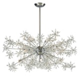 (3) Snowburst 48