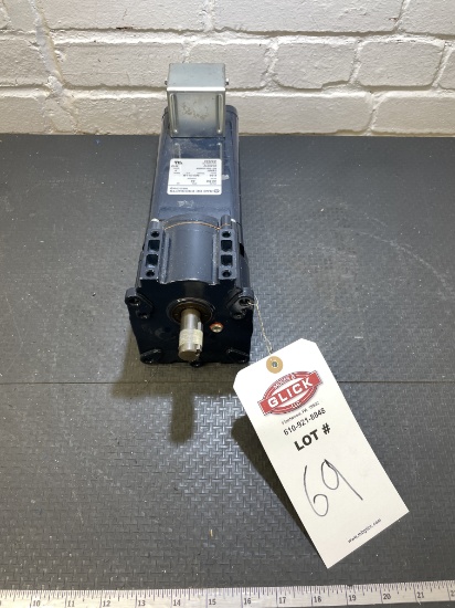 RAE 4040012 DC Gearmotor 36 RPM