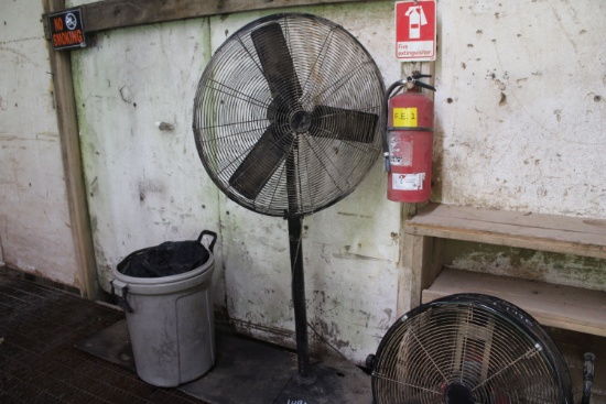 Pedestal Fan