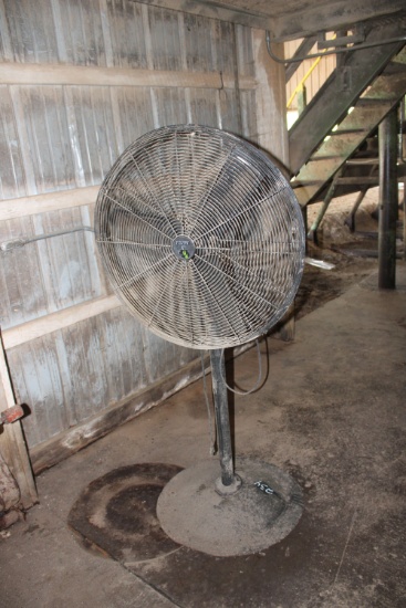Pedestal Fan