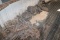 (18) Rolls C-55B Roof Top Chain