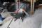 Wheel Barrow & Hand Tools