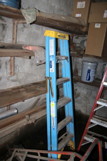 Werner 6' Ladder