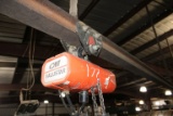 CM 1/2 Ton Chain Hoist