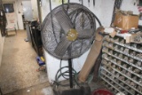 Pedestal Fan