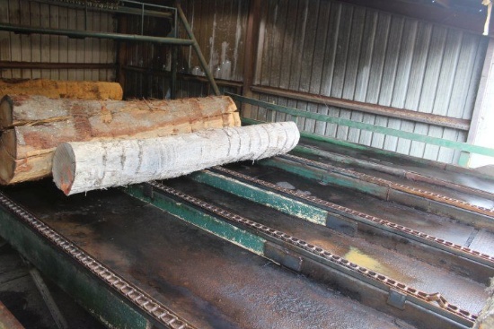 Infeed Log Deck