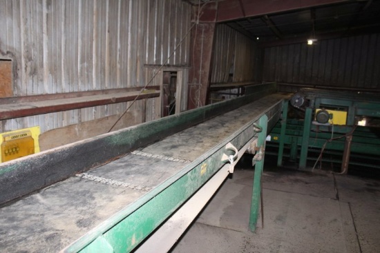 50' Belt Conveyor