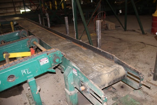 30' Belt Conveyor