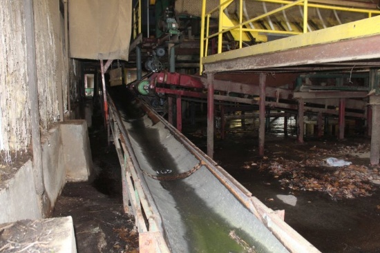 60' Concave Belt Conveyor