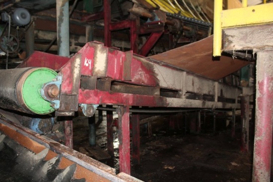 30' Belt Conveyor