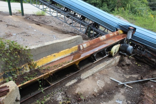 50' Vibrating Conveyor