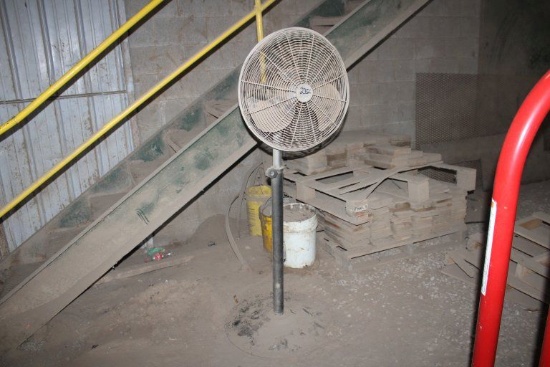 (2) Pedestal Fans with