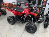 *NEW* Kids 125cc ATV