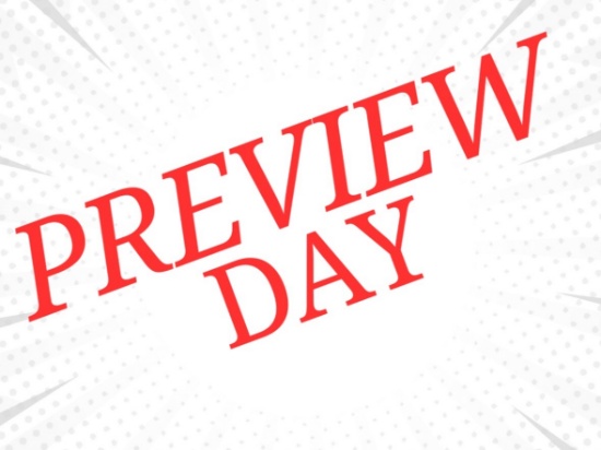 Preview Details