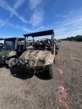 CUB CADET