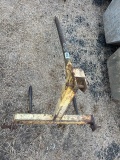 YELLOW HAY SPIKE