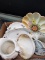 Box Lot- Assorted Ceramic Bowls and Creamers