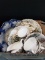 Box Lot -English Staffordshire Dishes