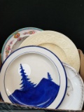 Box Lot- Assorted Decorative Plates