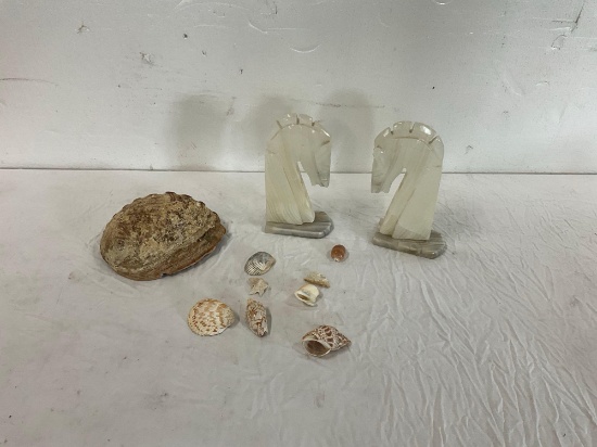 Horse Head Statues, Sea Shells