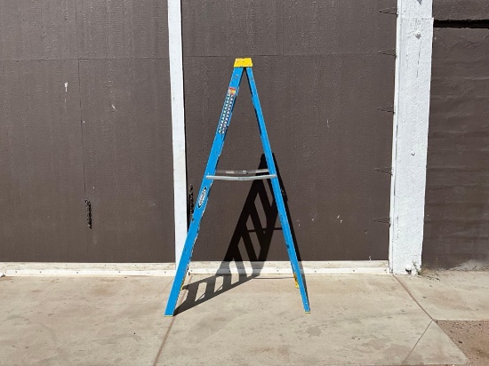 Werner 8ft Ladder