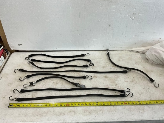 Bungee Straps