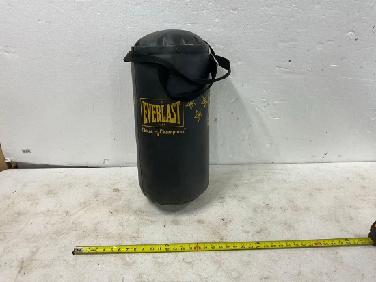 Everlast Punching Bag