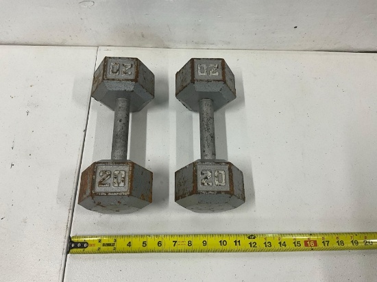 20lb Steel Weights