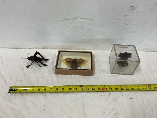 Bell, Bugs