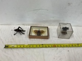 Bell, Bugs