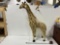 Stuffed Giraffe