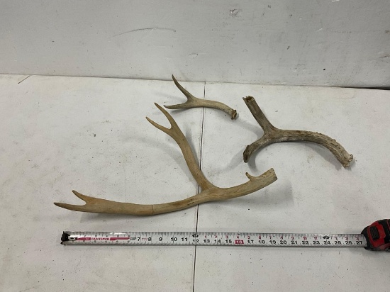 Antlers