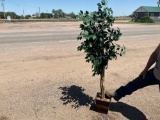 Fake Tree