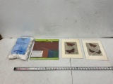 Cotton Balls, Leather Pad, Butterfly Pictures