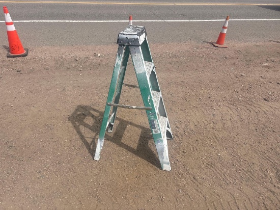 Werner 4ft Ladder