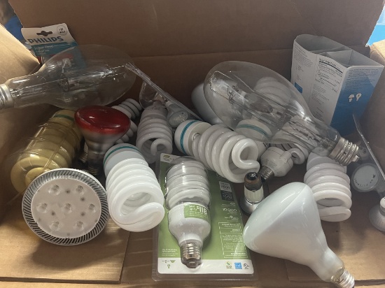 Grouping of light bulbs