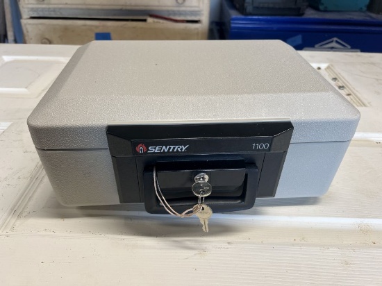 Sentry 100 Fireproof safe